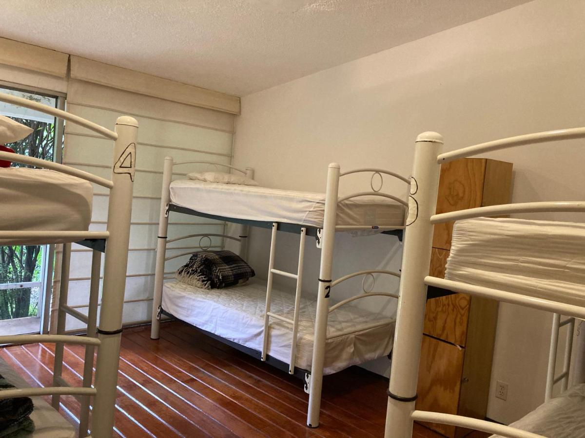 Hostal Cuija Coyoacan Berlin 268 Coyoacan Ciudad de México Exterior foto