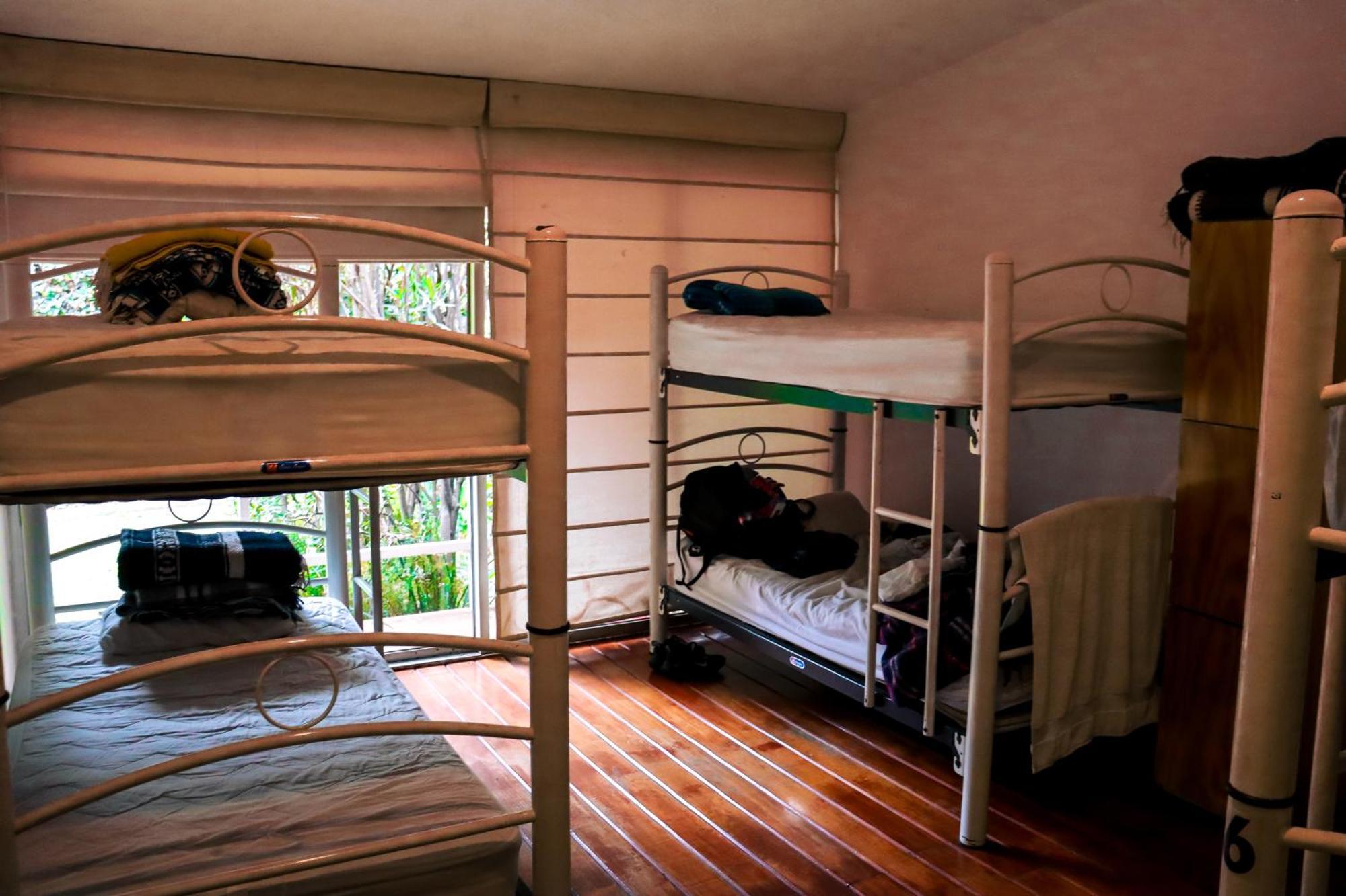 Hostal Cuija Coyoacan Berlin 268 Coyoacan Ciudad de México Exterior foto